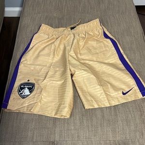 Nike Dri-Fit Al Ain FC Soccer Shorts